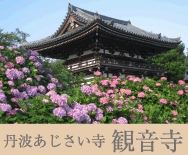 丹波あじさい寺　観音寺