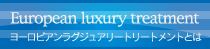 ヨーロピアンラグジュアリートリートメントとは